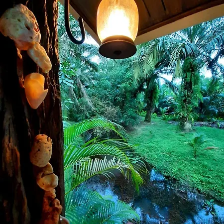 Tuaprodhome Khao Lak Room photo