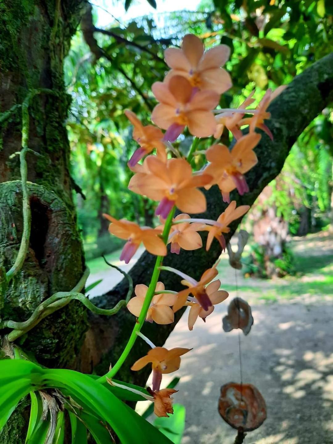 Tuaprodhome Khao Lak