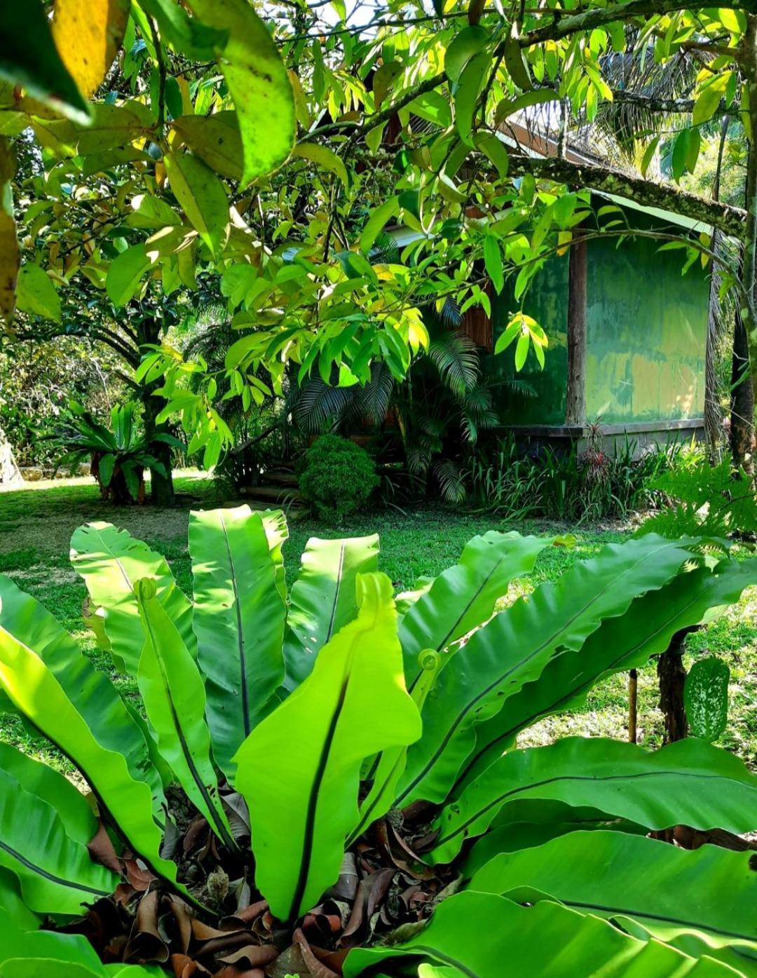 Tuaprodhome Landhaus Khao Lak