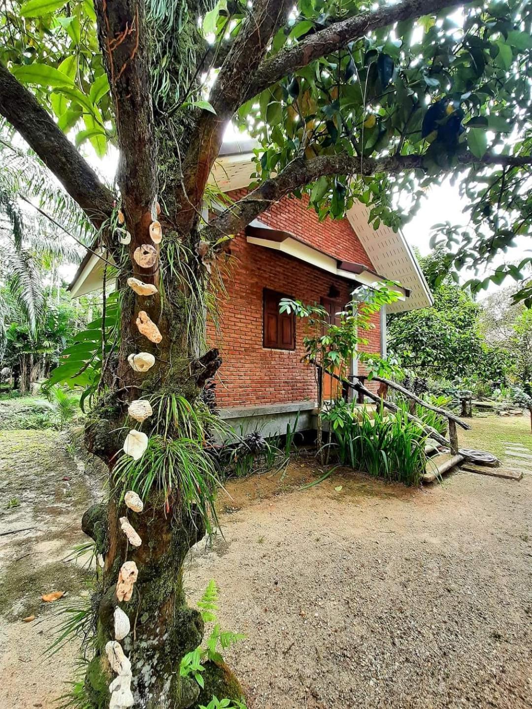 Landhaus Tuaprodhome