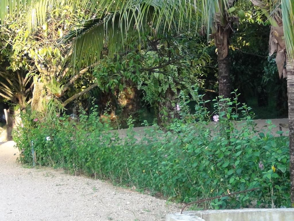 Tuaprodhome Khao Lak